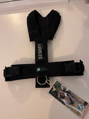 Customer photo review of Anny X Dog Harness FUN | Y-shaped