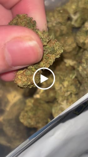 Customer video review of Cheap THCA Flower Ounce