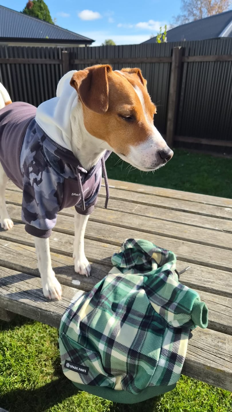 Customer photo review of Grey Camo Dog Hoodie