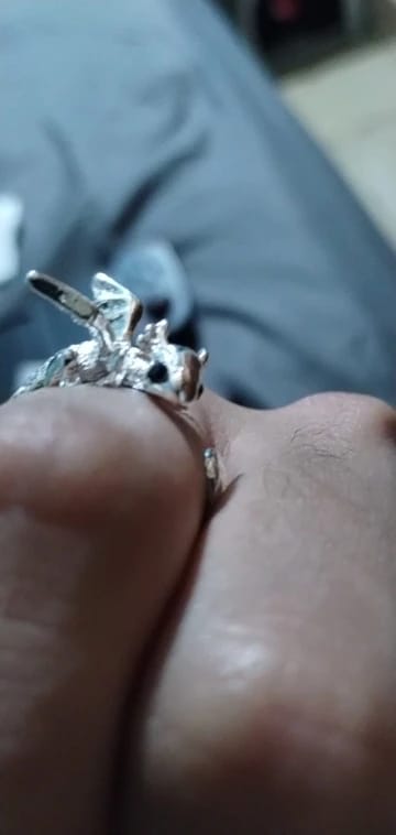 Customer photo review of Adjustable Toothless & Light Fury Ring