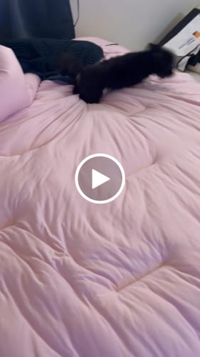 Customer video review of MarshMellow Comforter