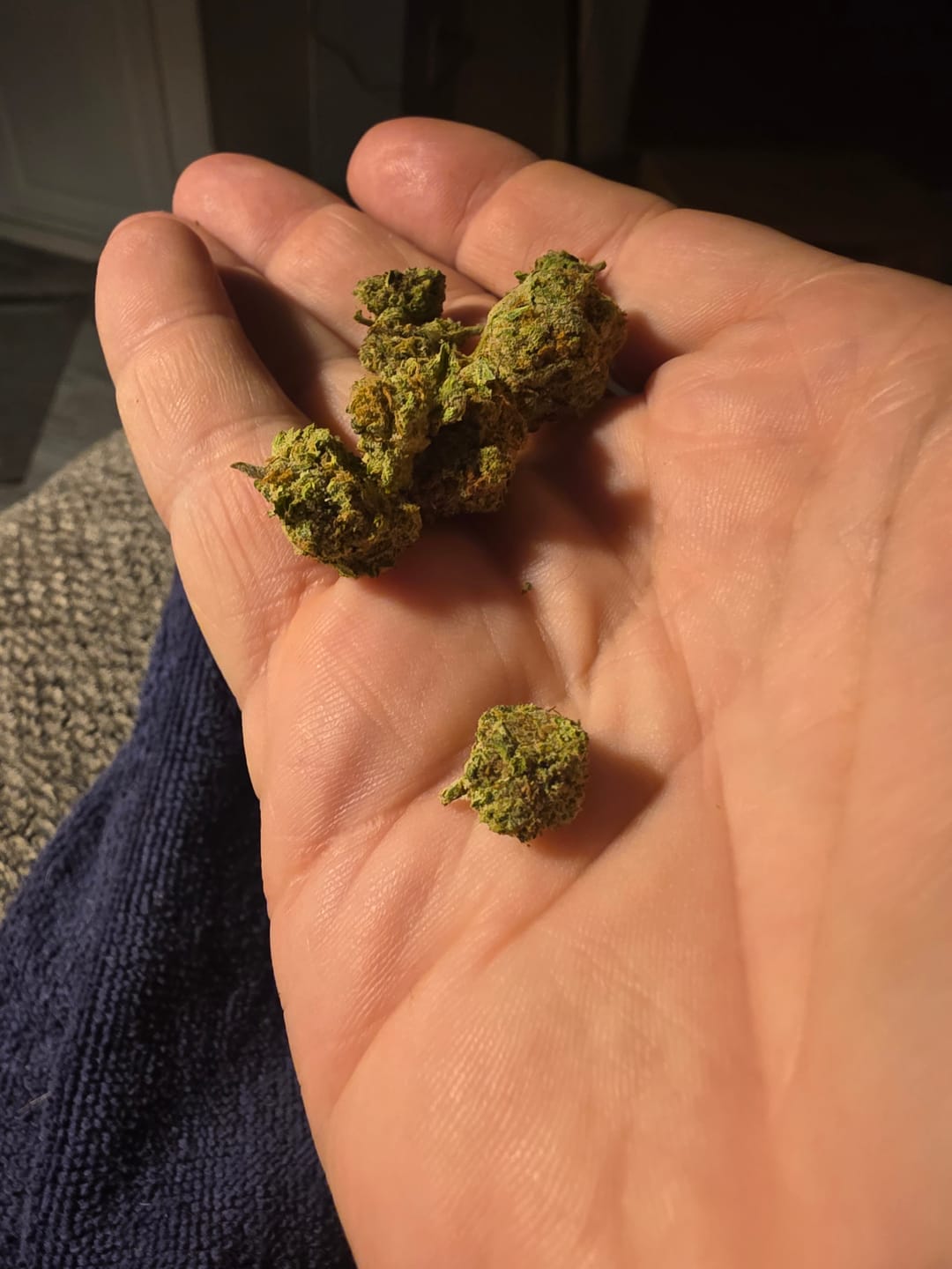 Customer photo review of Blueberry Syrup - 28 Grams - Indica