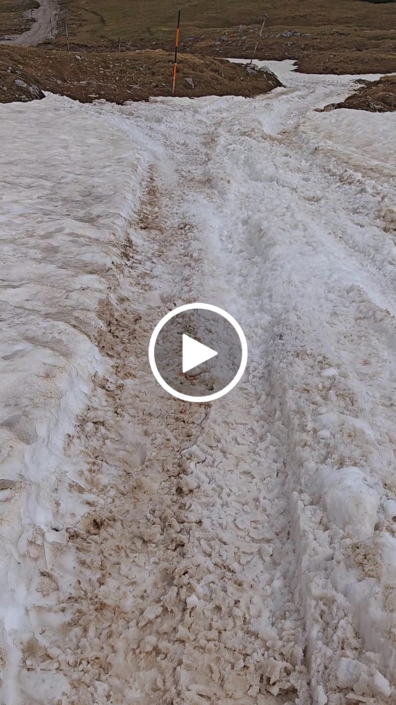 Customer video review of Forestep Ⅰ - Barfußschuhe