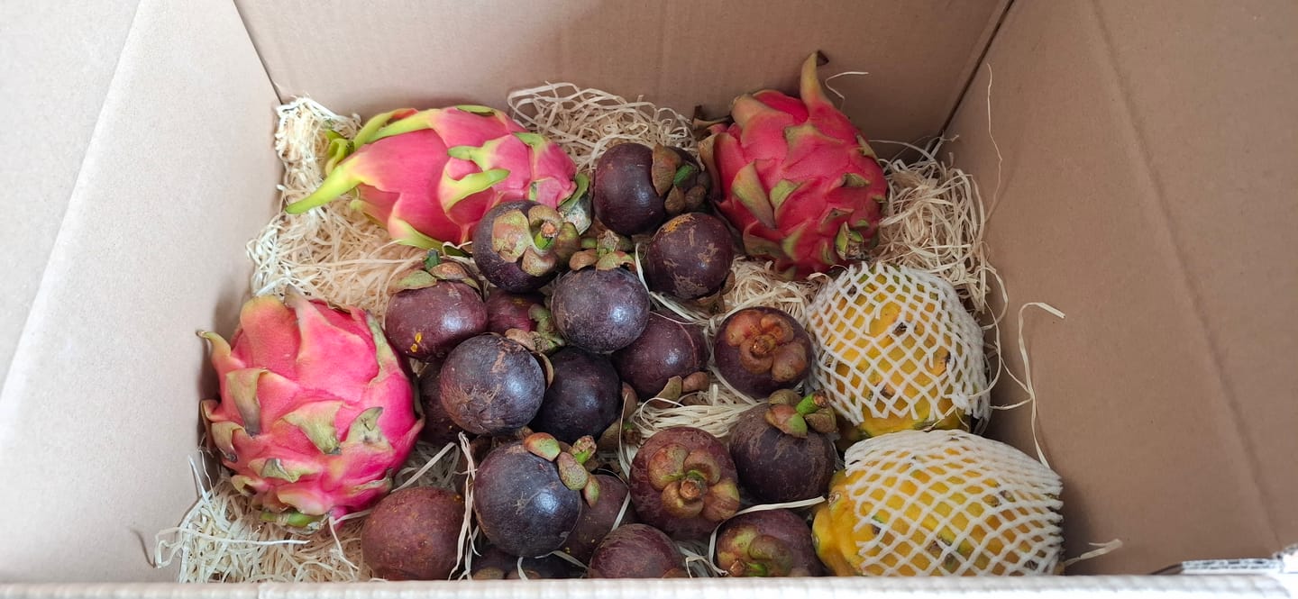 Customer photo review of Mangostan unbehandelt Thailand 1,5kg Box Kennenlernpreis %
