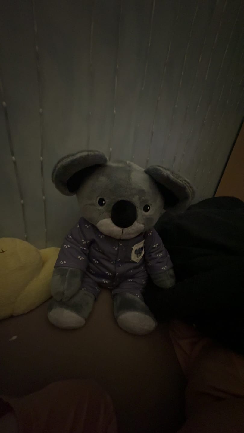 Customer photo review of Lotgenootje Koala 2kg
