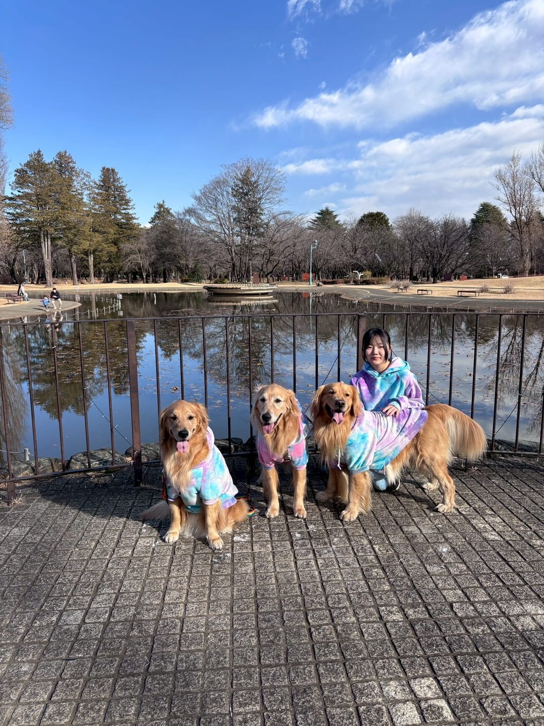 Customer photo review of Comfort Control Dog Collar Sets