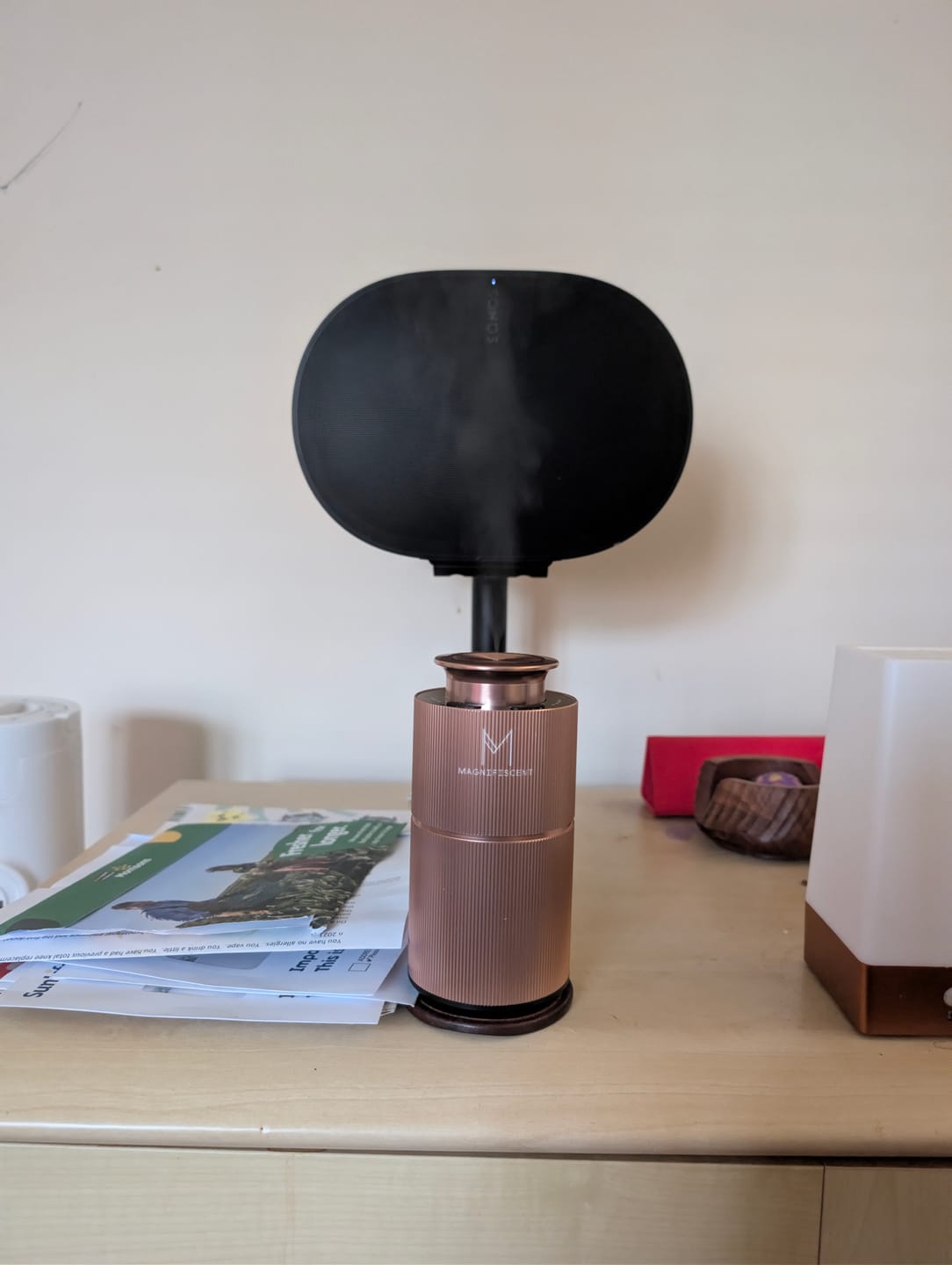 Customer photo review of MistMini – The Ultimate Portable Diffuser