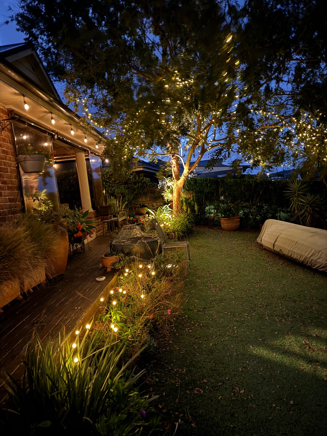 Customer photo review of GardenBrite™ Solar Firefly Lights