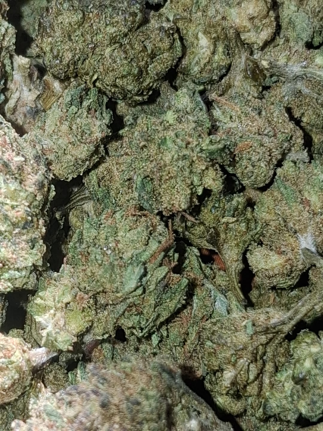 Customer photo review of UK Cheese - Bulk - Hybrid