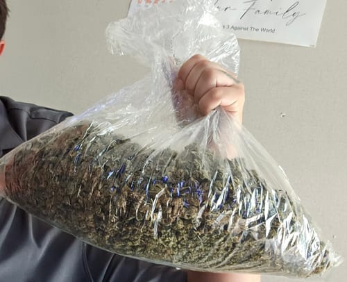 Customer photo review of THCA Flower Budget Buds
