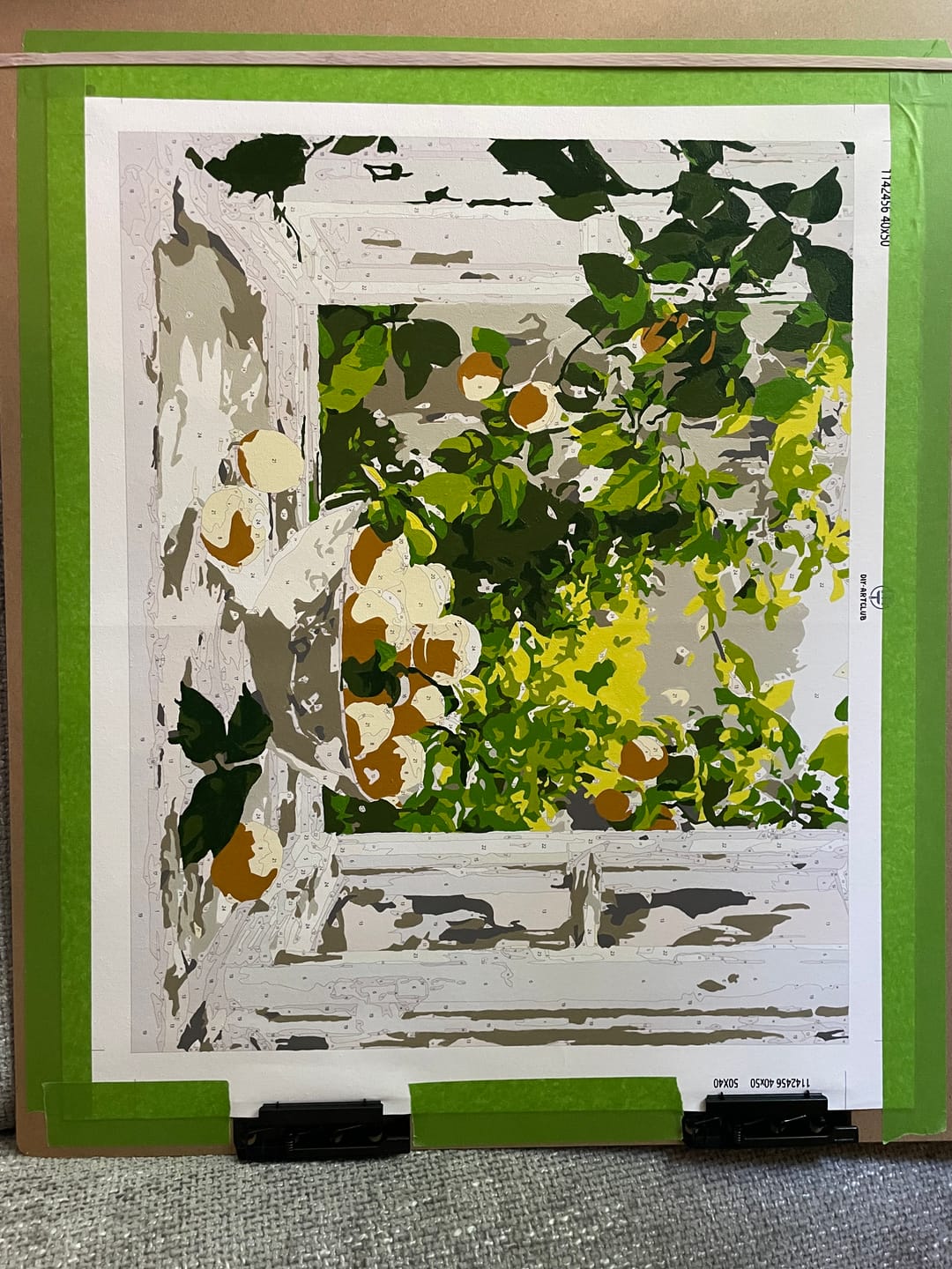 Customer photo review of Lemon Bowl at the Window | Paint by Number