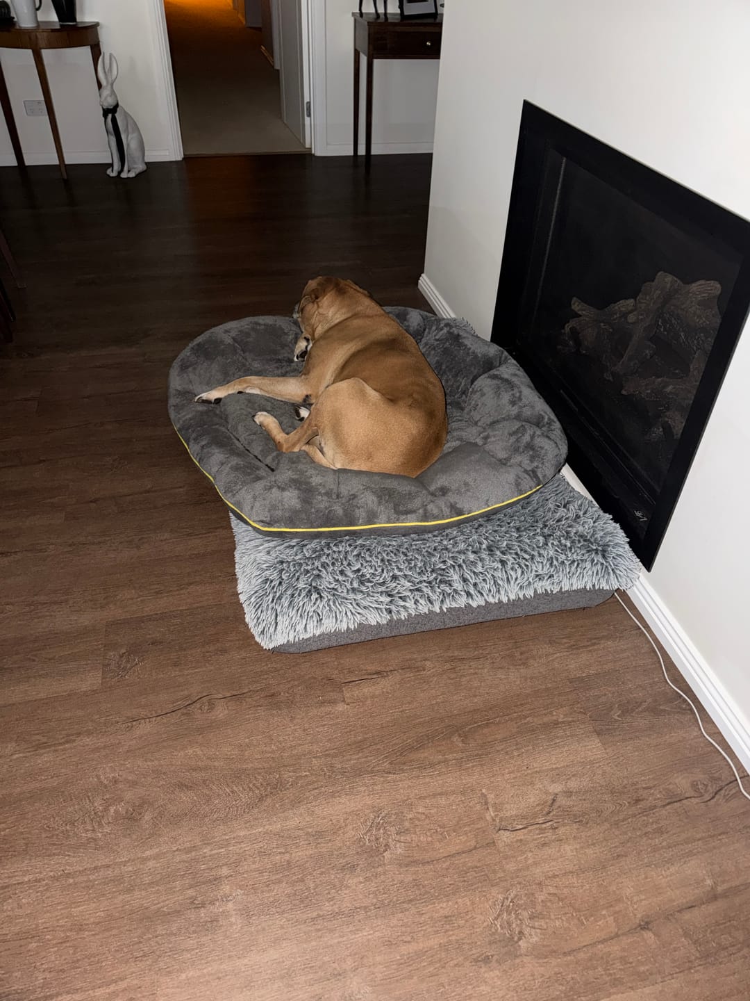 Customer photo review of Electric Pet Heater Bed Thermal Protection