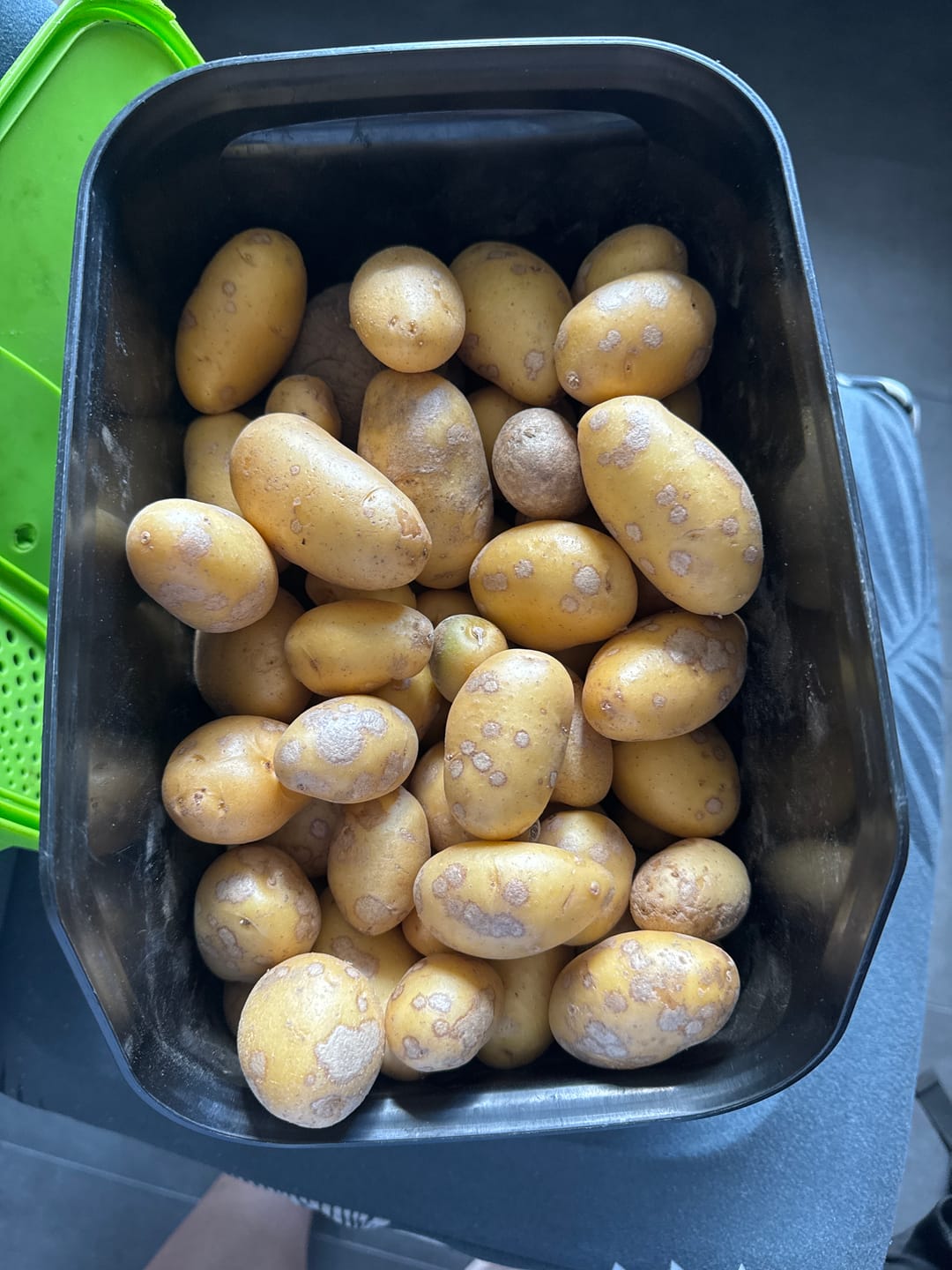 Customer photo review of Kartoffeln "Butter" Bioland neue Ernte Bio
