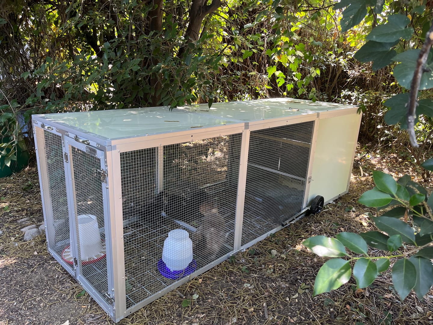 Customer photo review of Mobile Chicken Coop / Chicken Tractor