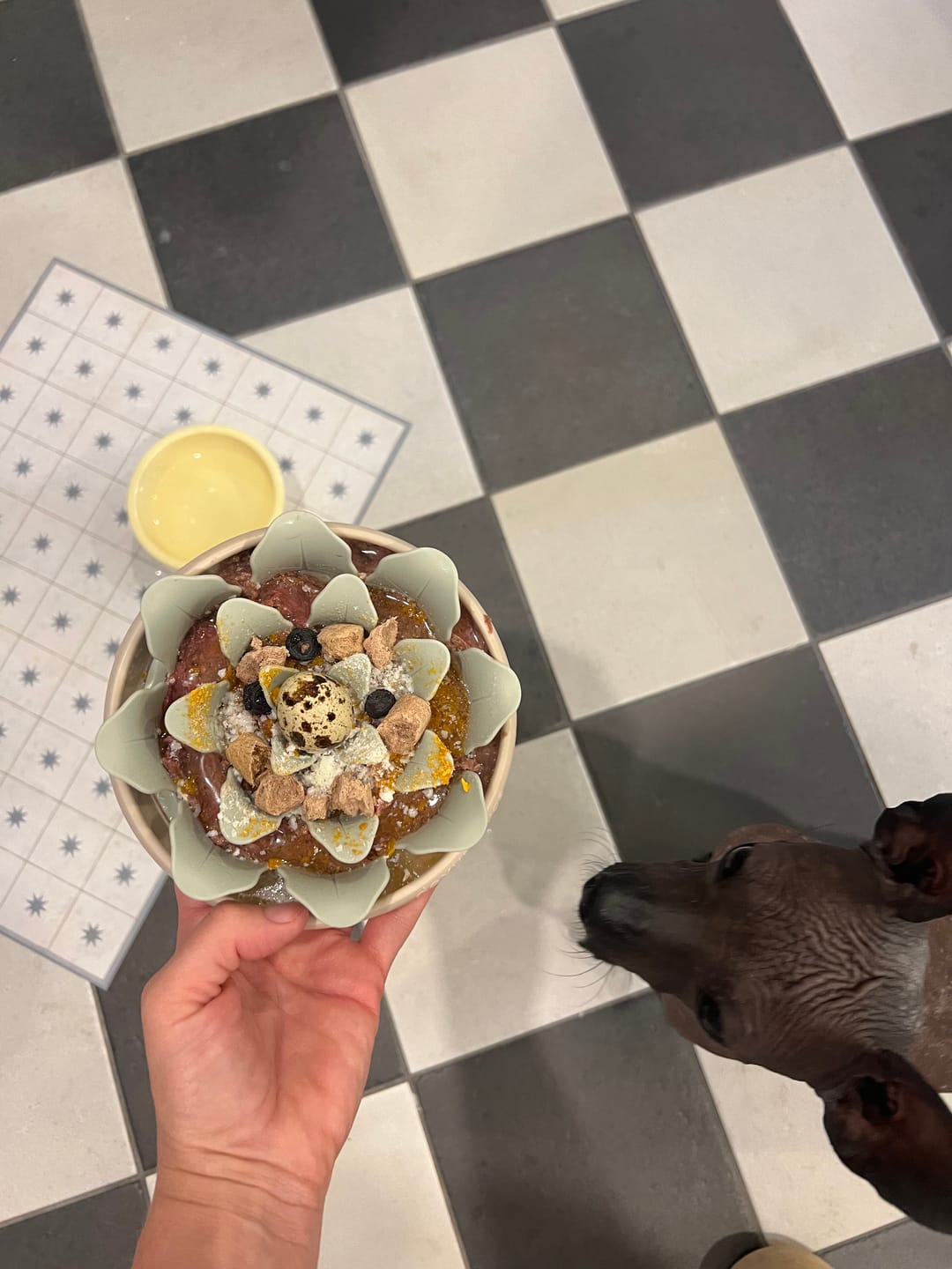 Customer photo review of Stella & Chewy's - Meal Mixers pour chien