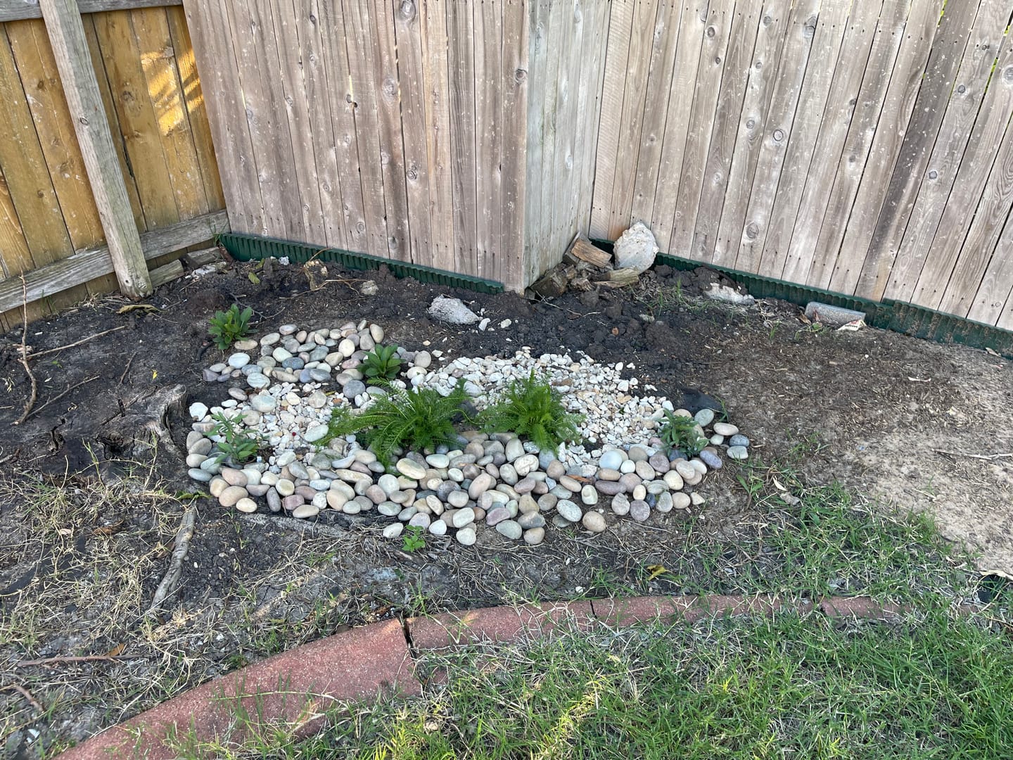 Customer photo review of Yarrow