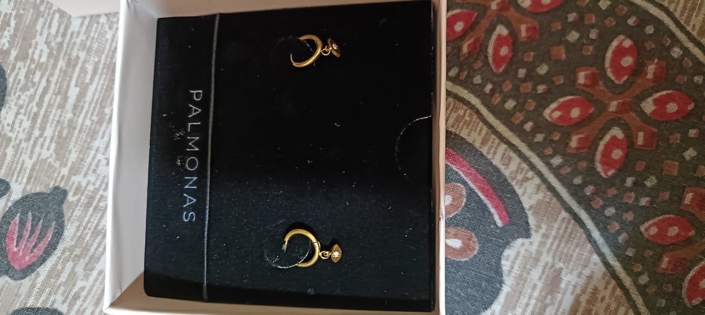 Customer photo review of Tiny Iris Star Drop Hoop Earrings