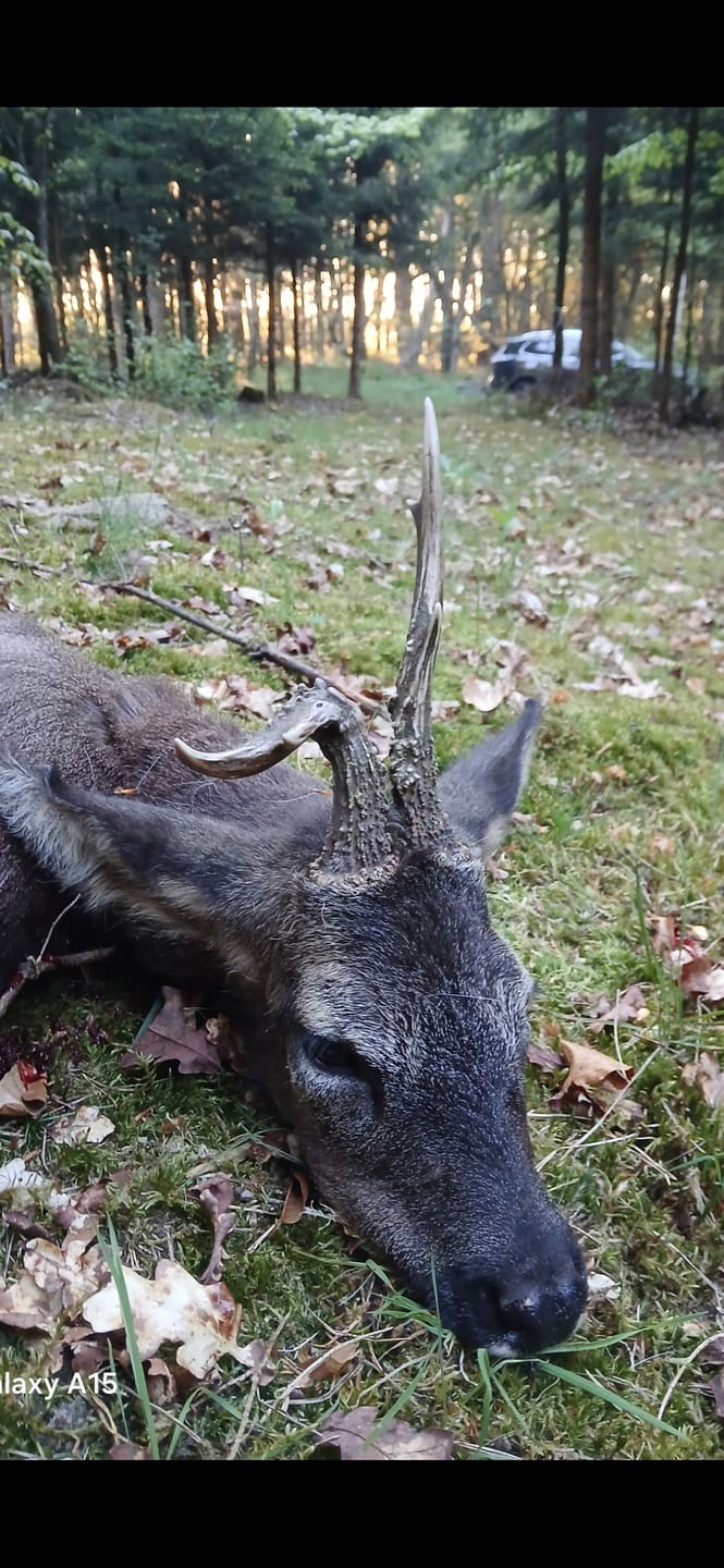 Customer photo review of Salzspray Anis - Lockmittel Rehwild, Schwarzwild, Rotwild und Damwild