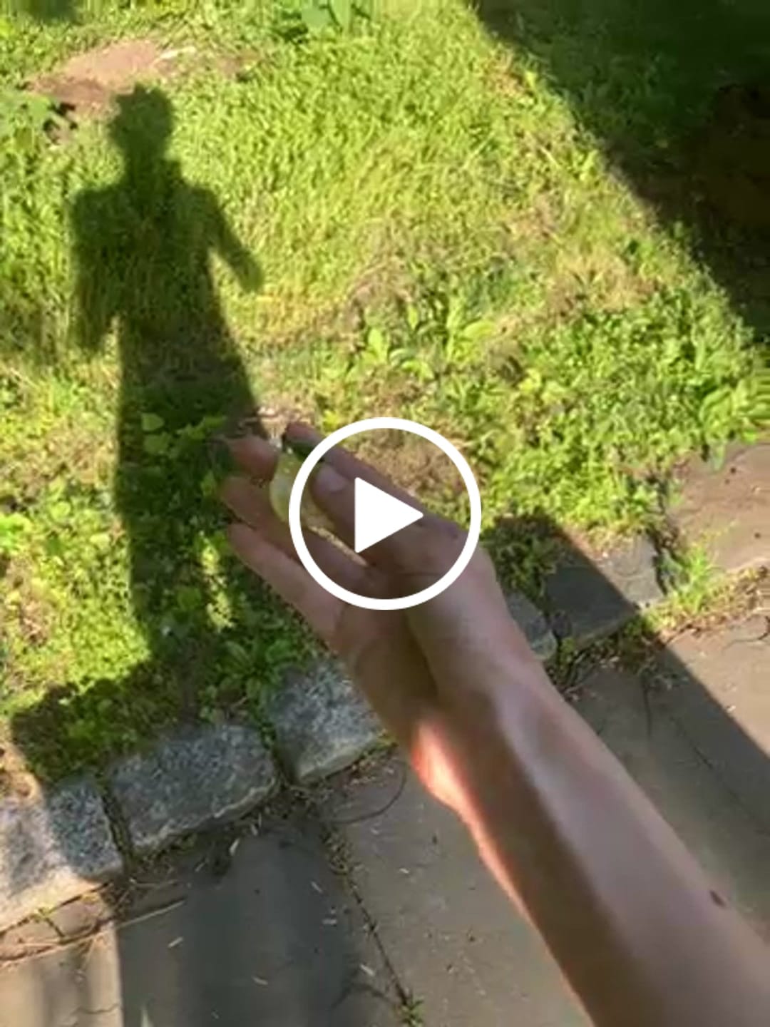 Customer video review of Mini Lemon Hair Claw Clip