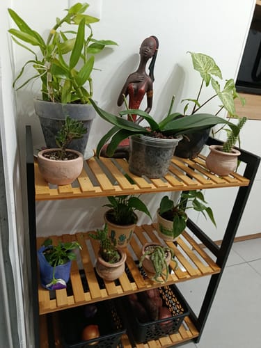Customer photo review of Estanteria Organizador Rack 3 Niveles Estilo Industrial Negro