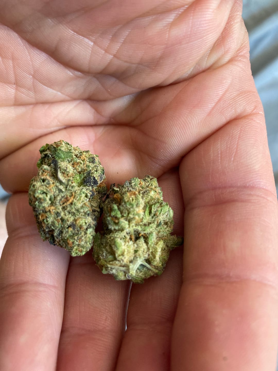 Customer photo review of Alien OG - 4 Grams - Indica