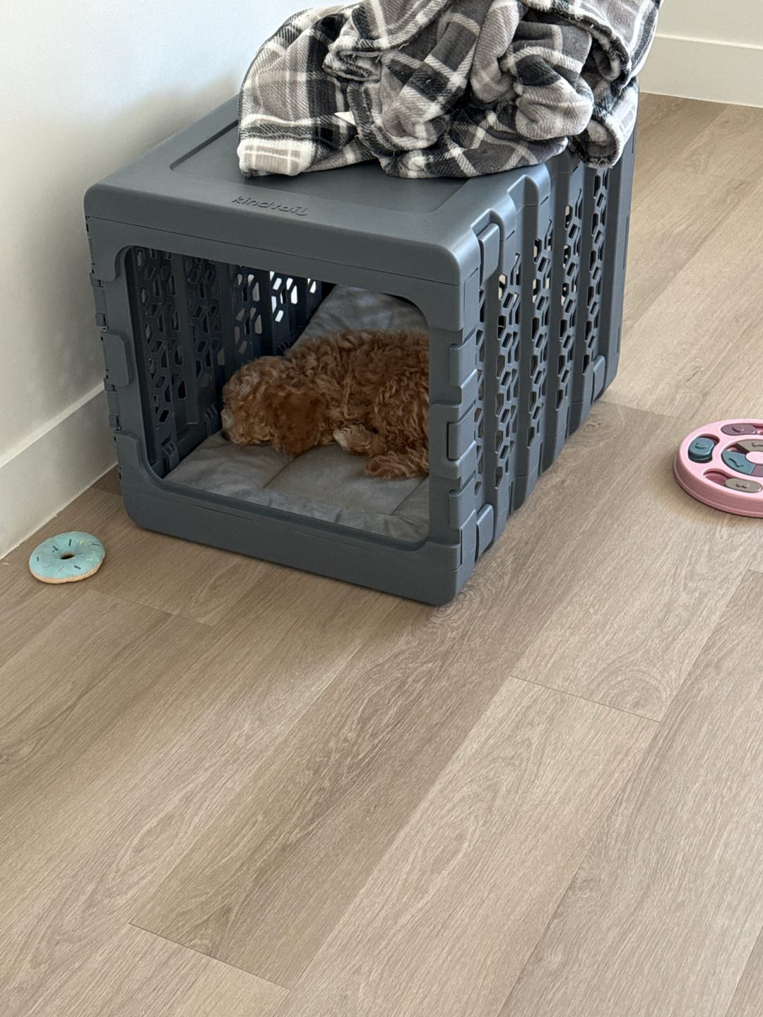 Customer photo review of PAWD Crate Pad & Dog bed