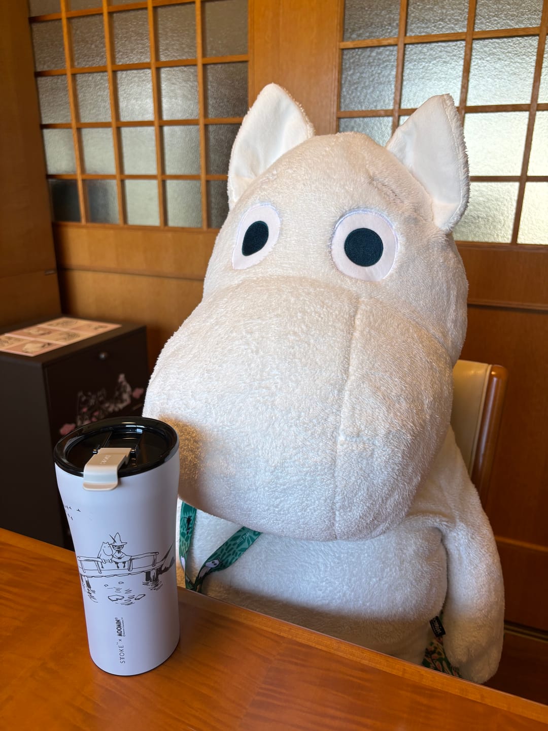 Customer photo review of STTOKE × MOOMIN（G / Vサイズ）