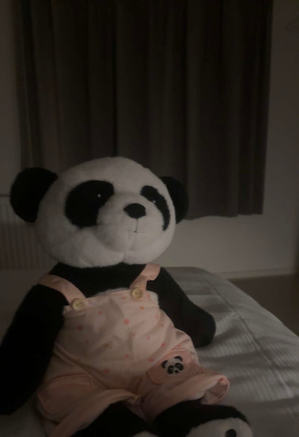 Customer photo review of Panda Kleding Lente Lotgenootje