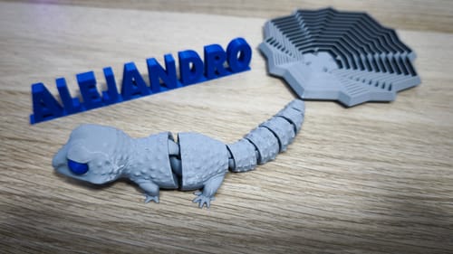 Customer photo review of Anycubic Kobra X