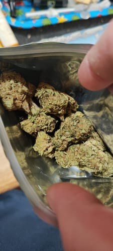 Customer photo review of Dank Banana OG THCA Flower