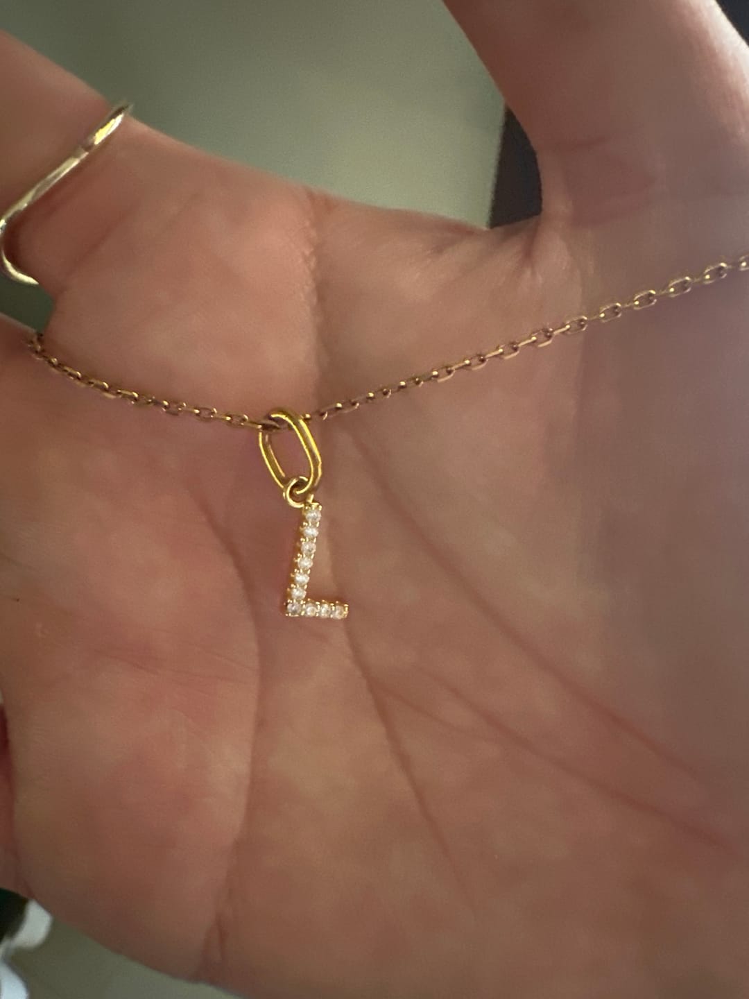 Customer photo review of Collar Dorado Inicial Con Zirconias