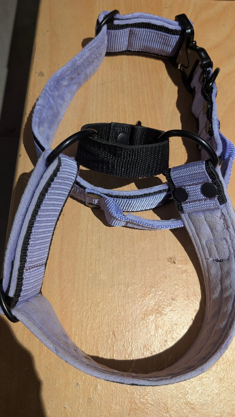 Customer photo review of Martingale Black Edition Baby Purple - Brett fodrat halsband halvstryp