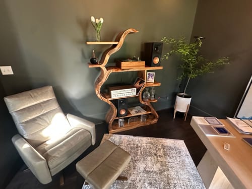 Customer photo review of Organic Sculptural Bookshelf With Curved Design For Living Room