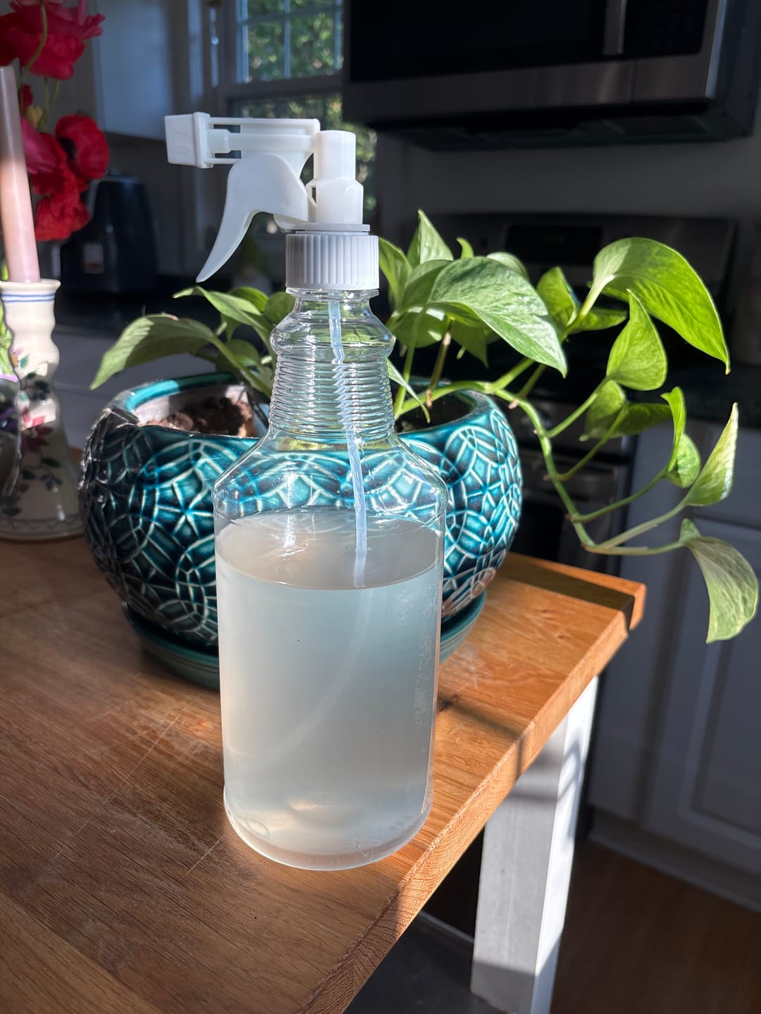 Customer photo review of Bulk Clean Dream