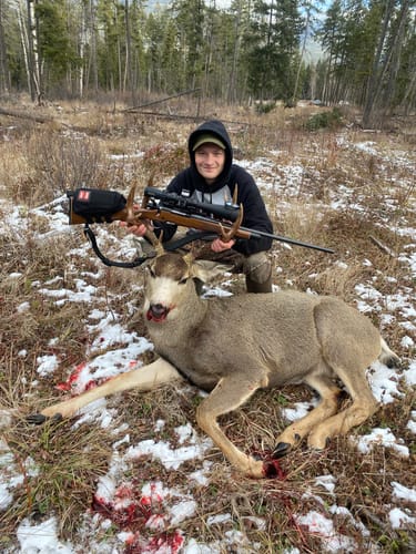 Customer photo review of S-TAC FFP4-20x50 Zero Stop