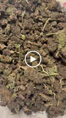 Purple Churro - Bulk - Indica photo review