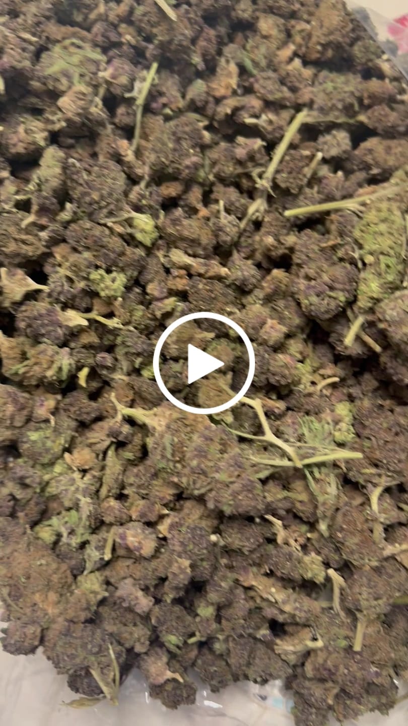 Customer video review of Purple Churro - Bulk - Indica