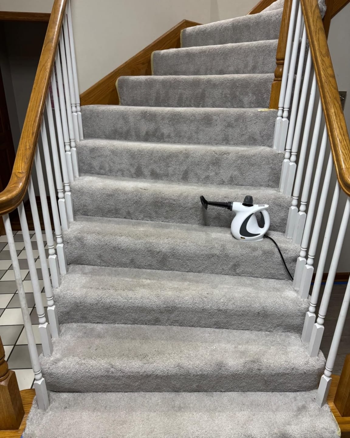 Customer photo review of Steamwell Pro Kit