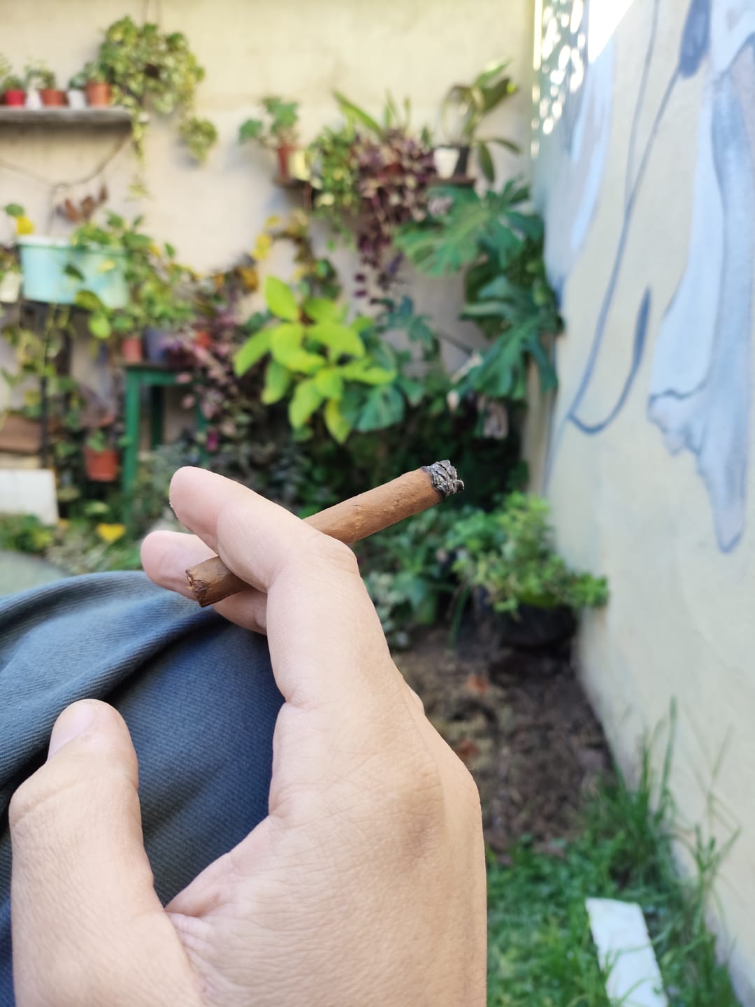 Customer photo review of Long Cigarrito