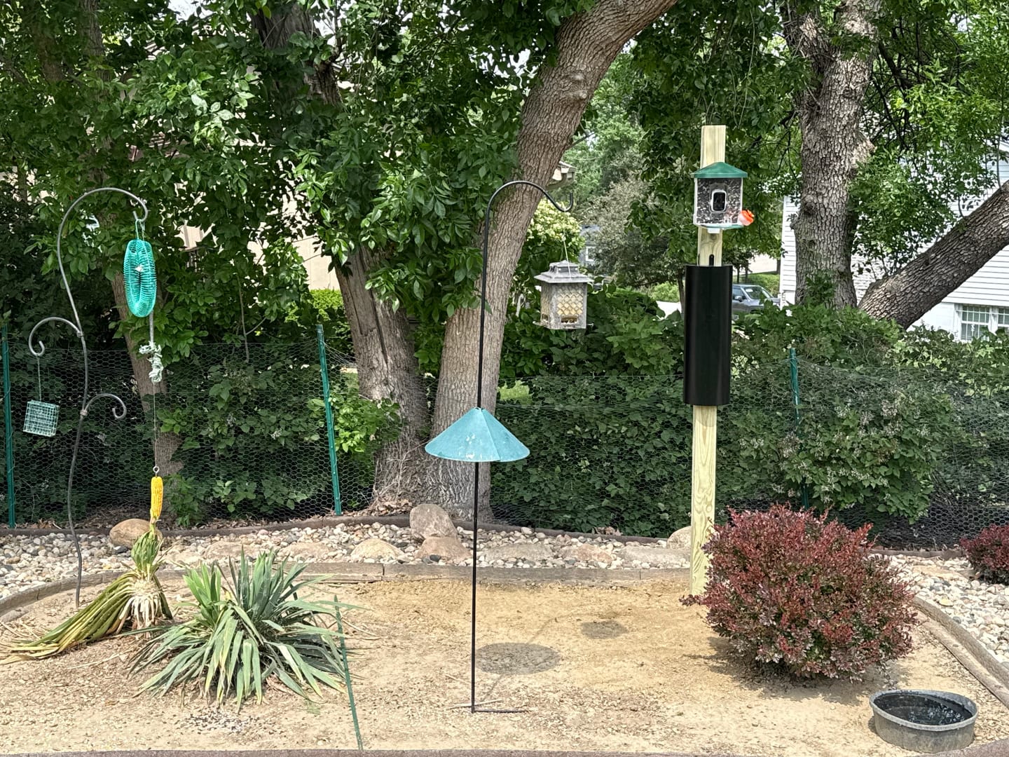 Customer photo review of Raccoon & Squirrel Baffle 4x4 Post-Mount