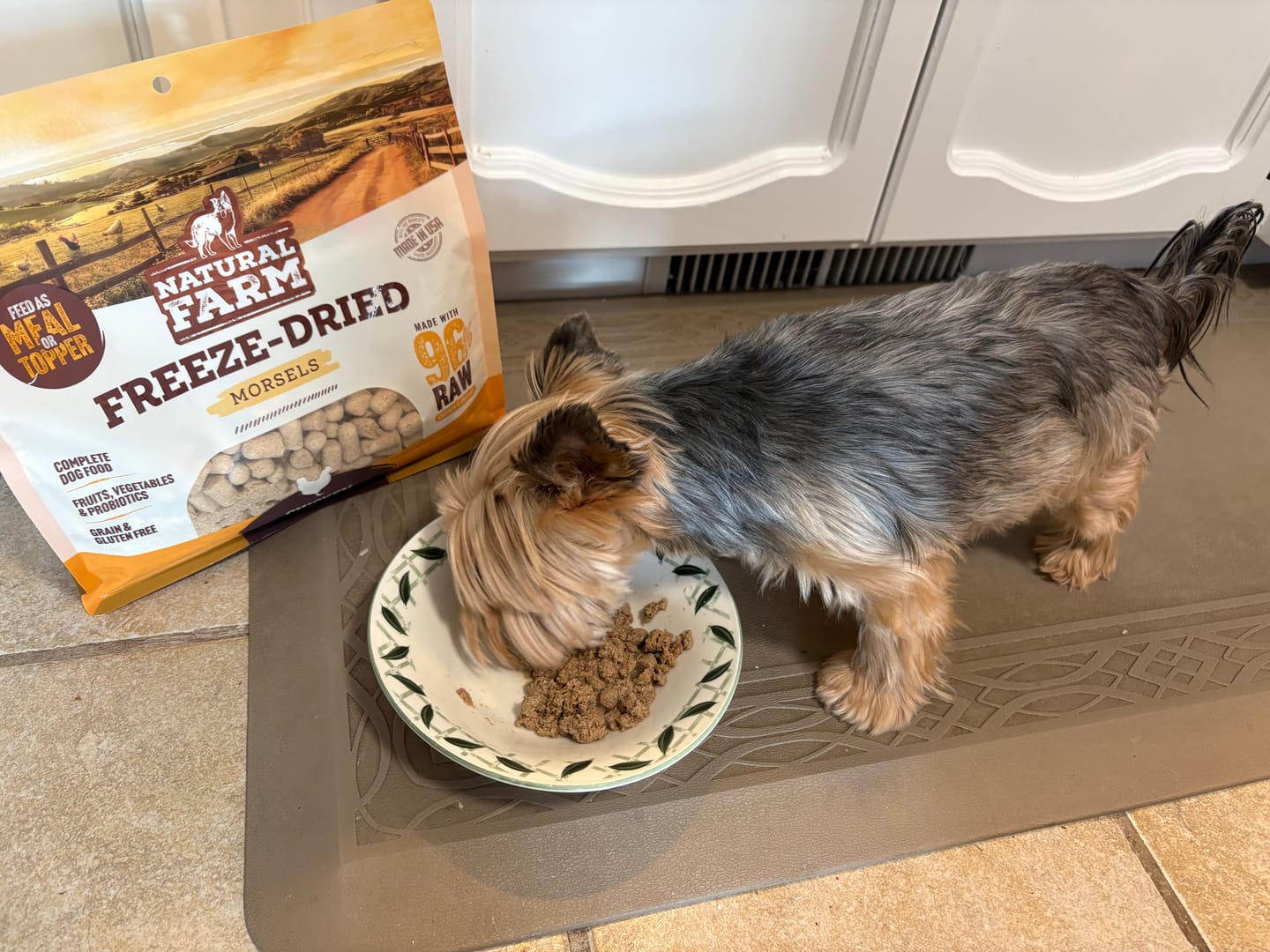 Customer photo review of Freeze-Dried Chicken - Morsels