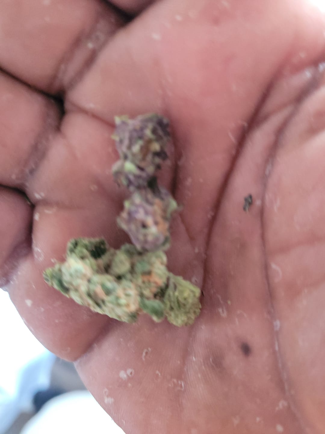 Customer photo review of Alien OG - 4 Grams - Indica