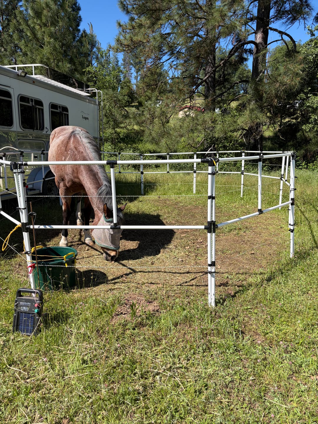 Customer photo review of Ready Made Portable Electric Horse Corral Fencing: (Electric EconoLine 10+2=12 Panels; 2 Rails)