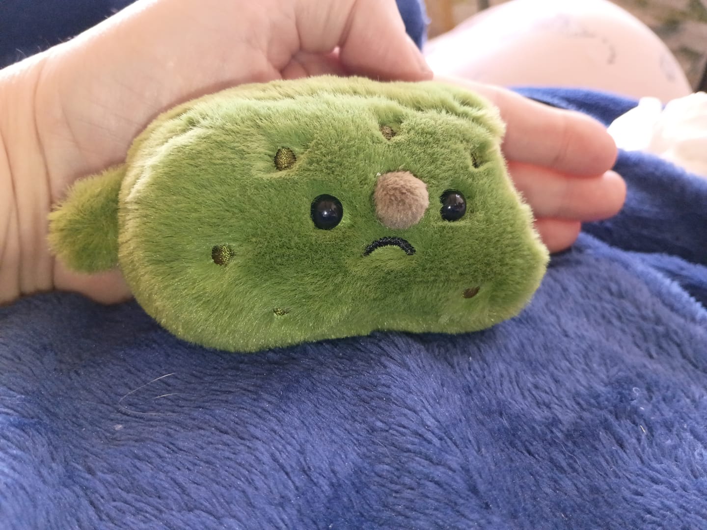 Customer photo review of Forgotten Bitten Pickle (Preorder for end of April)