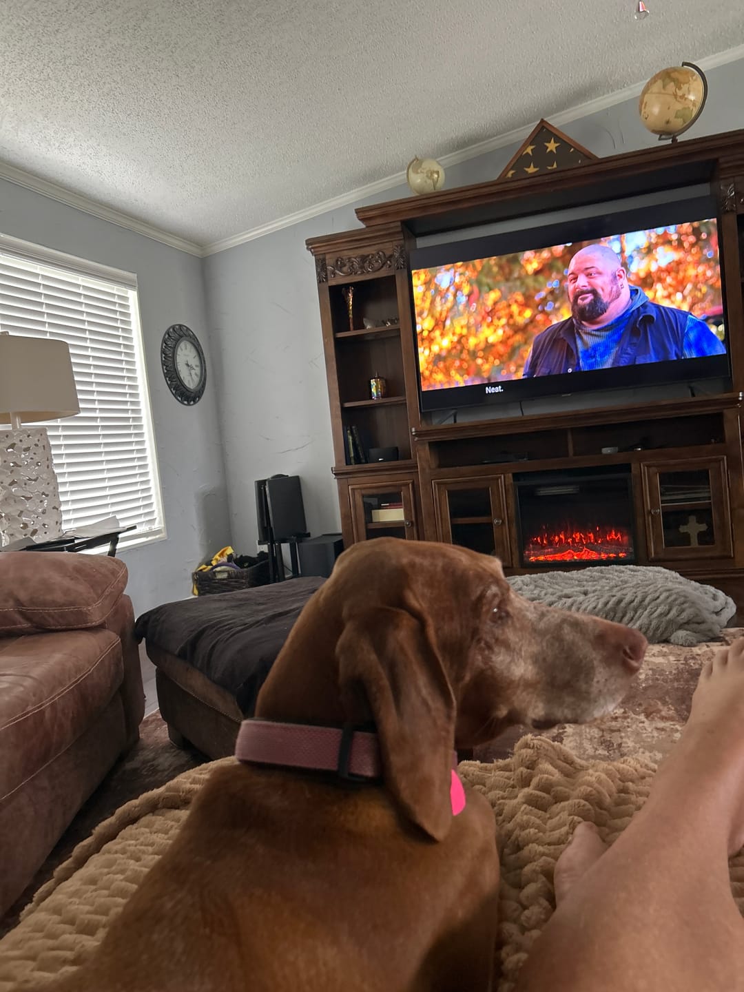 Customer photo review of Simparica TRIO - Triple Protection for Dogs in One Tasty Monthly Chew
