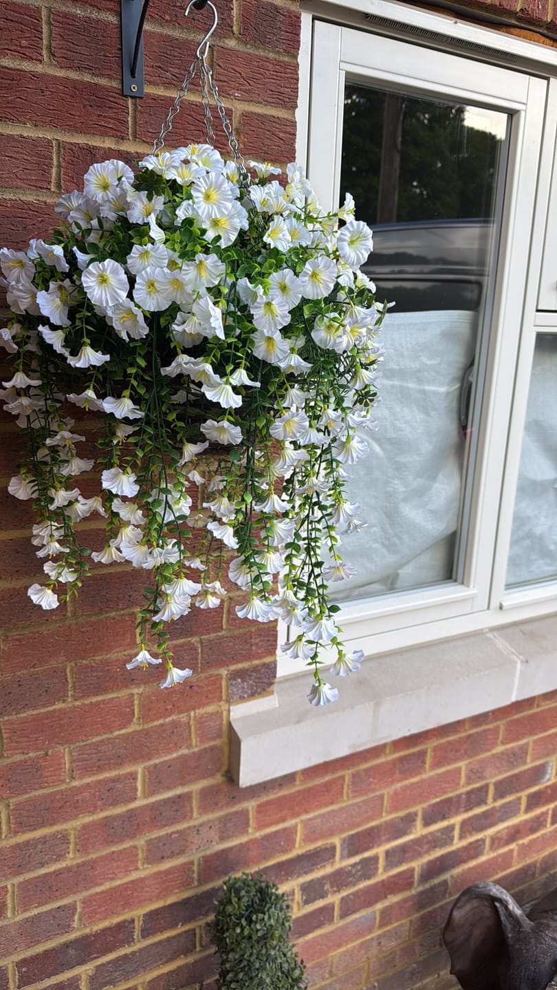 Customer photo review of Outdoor Hanging Petunia Basket - White