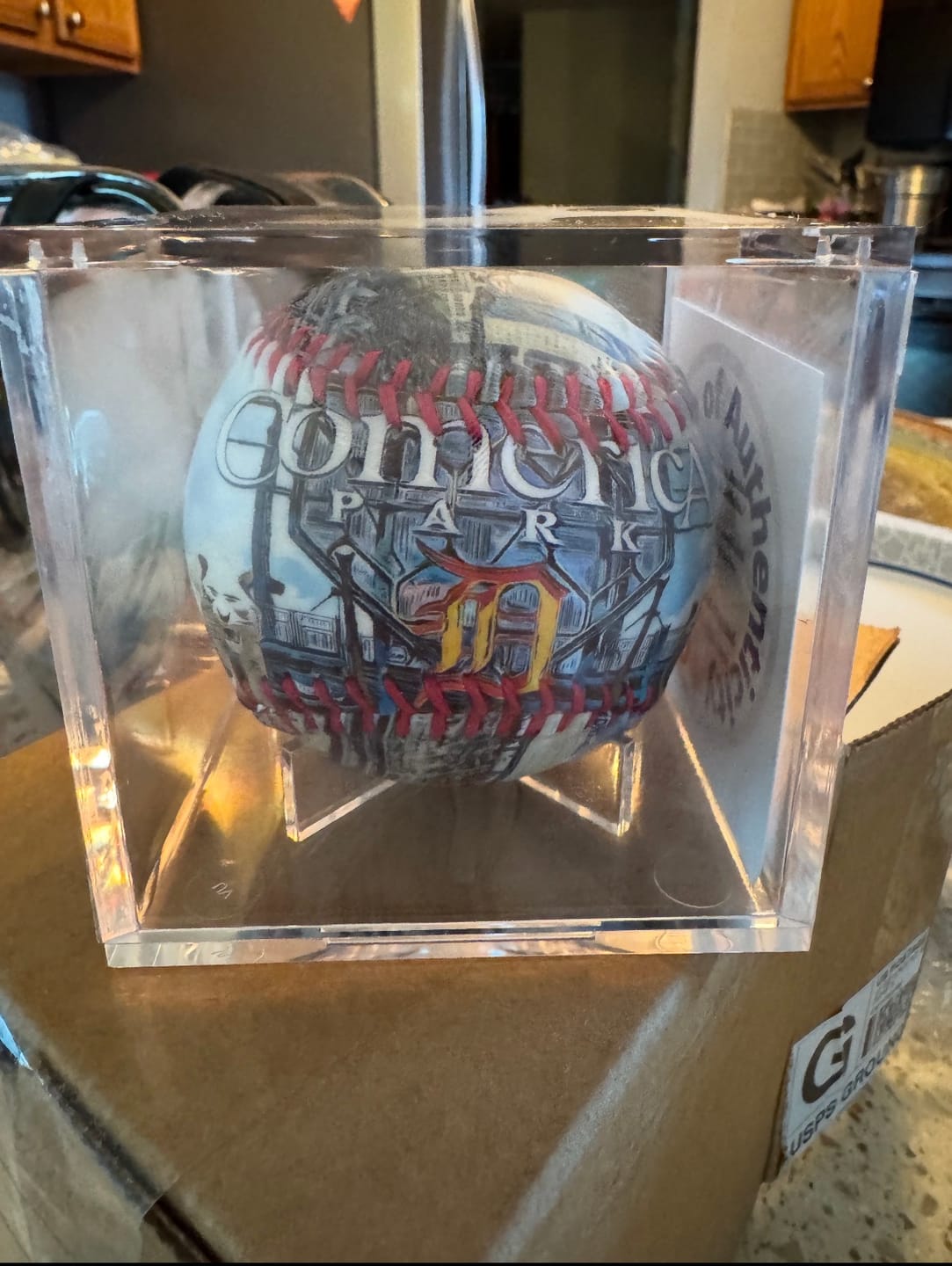 Customer photo review of Comerica Park Baseball - Detroit