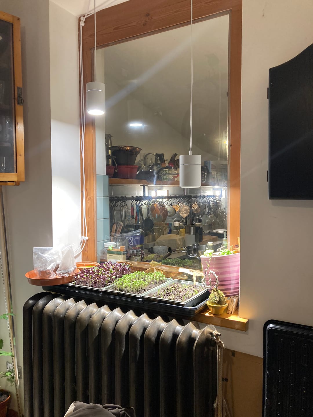 Customer photo review of Claria Grow Light Pendant
