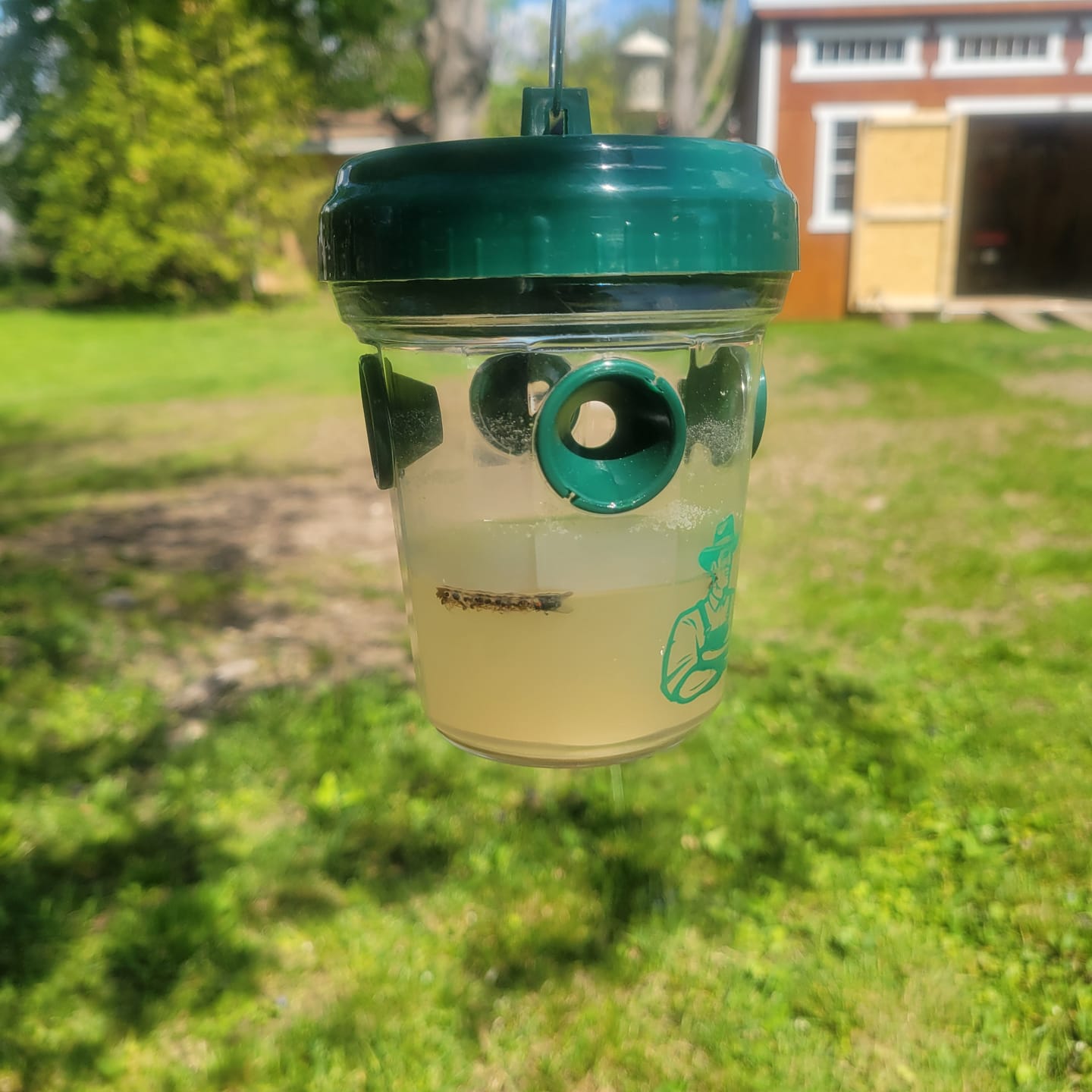 Customer photo review of Mosquito TNT 2.0