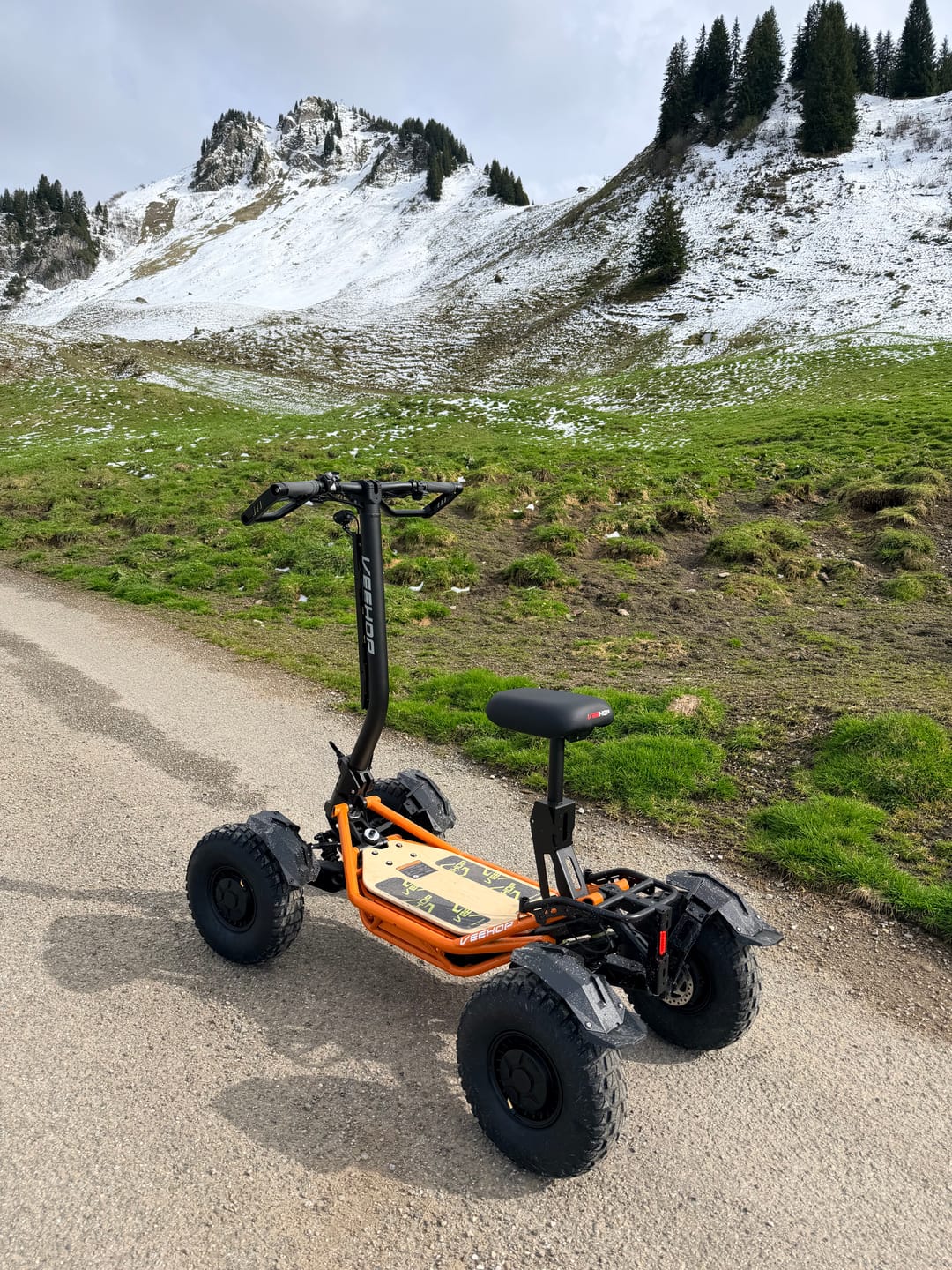 Customer photo review of Trottinette VEEHOP tout terrain à 4 roues motrices avec selle pliable 3200w / 6400w 40ah